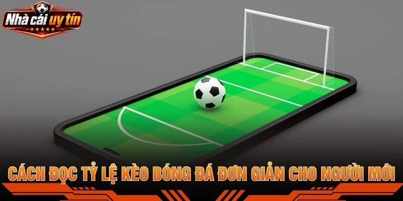Cách Đọc Tỷ Lệ Kèo Bóng Đá Đơn Giản Cho Người Mới