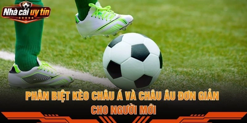 Phân Biệt Kèo Châu Á Và Châu Âu Đơn Giản Cho Người Mới